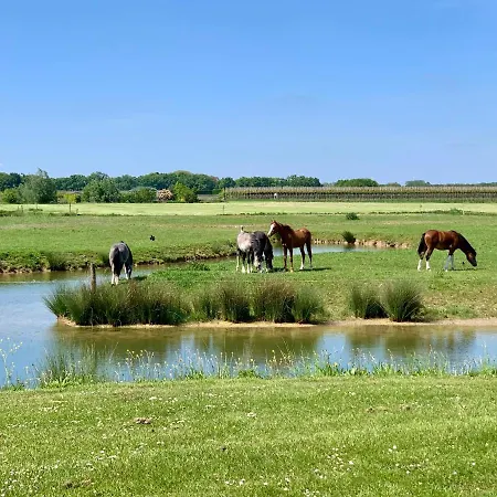 Ranger Lodge, Camping Betuwe Campsite Kesteren